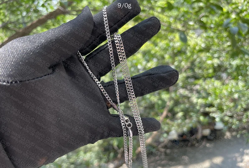 Stainless Steel Chain