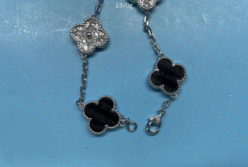 Van Cleef Pulse Chain 2