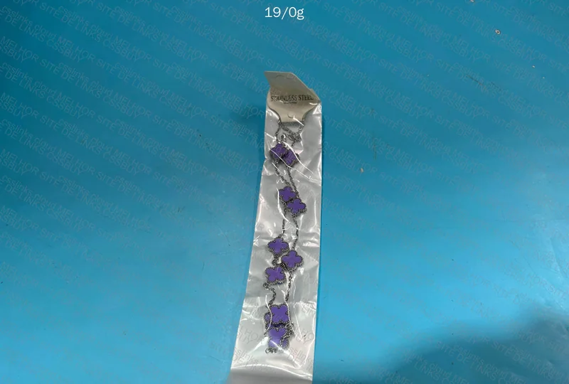 Van Cleef Chain 3