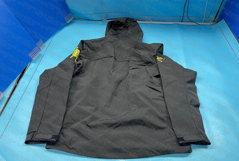 Arc'teryx Windbreaker 4