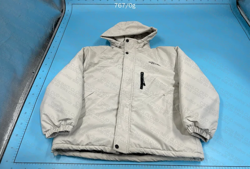 The North Face Windbreaker (TNF)