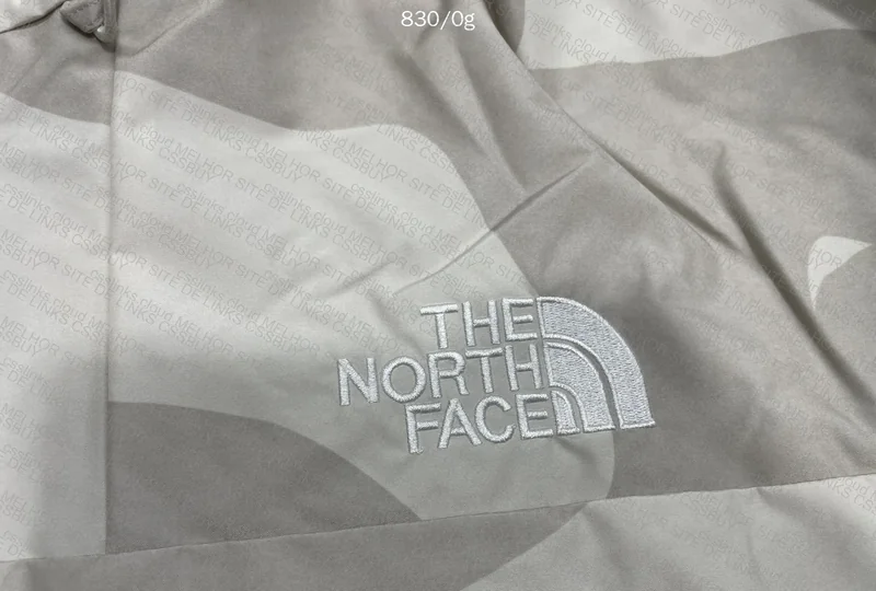 The North Face x Kaws Windbreaker 2