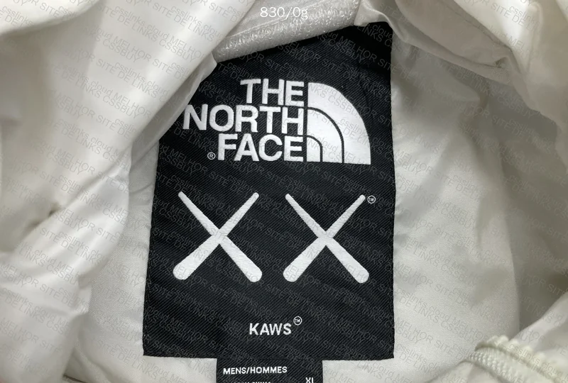 The North Face x Kaws Windbreaker 4