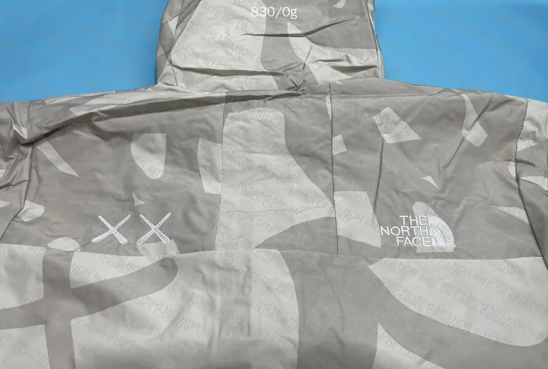 The North Face x Kaws Windbreaker 5
