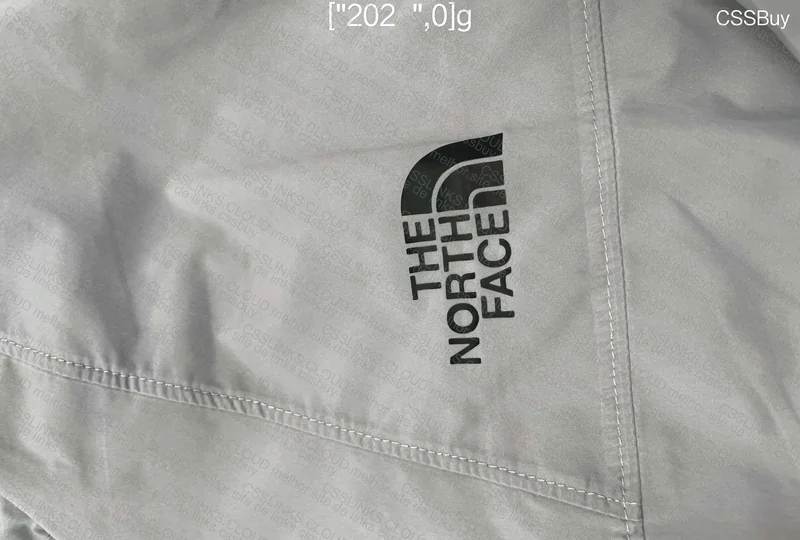 Gray TNF Windbreaker 5