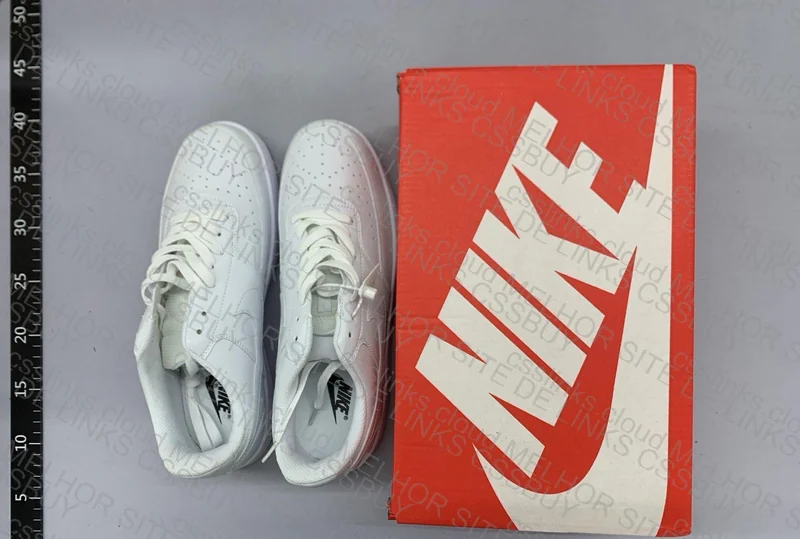 Court Vision Low 5
