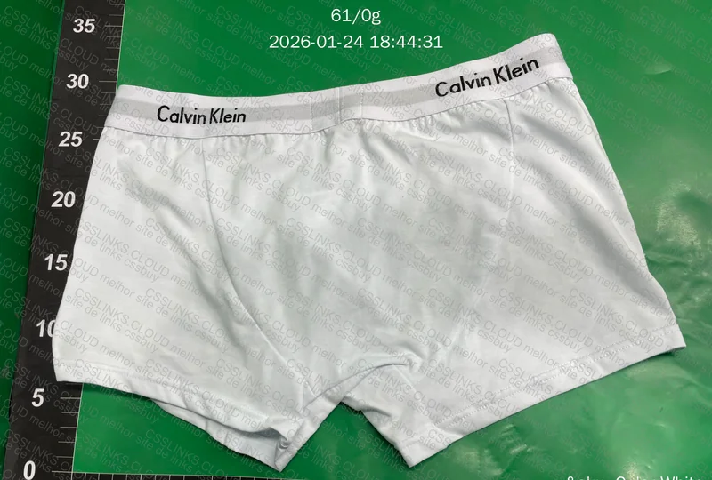 Cueca Calvin Klein 2