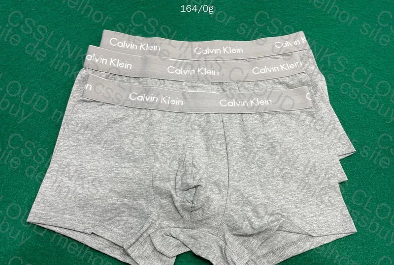 Calvin Klein Gray Underwear 2