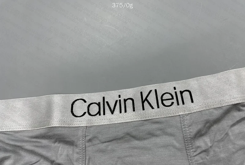 Calvin Klein Modal Underwear 2