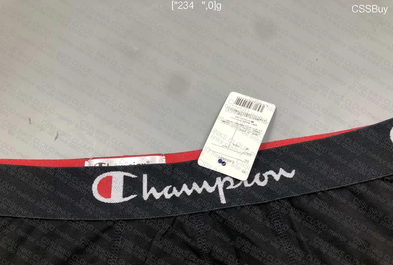 Champion Underwear
