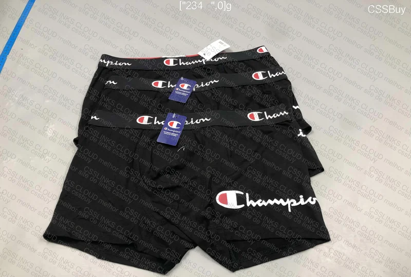 Champion Underwear 2