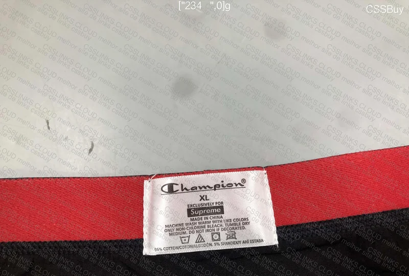 Champion Underwear 3