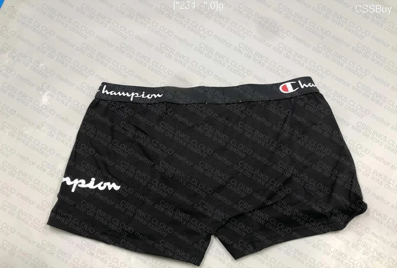 Champion Underwear 4