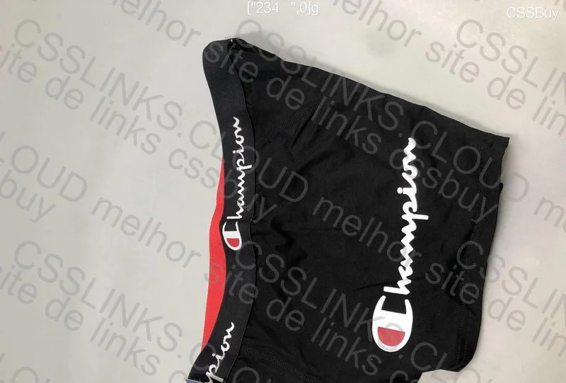 Champion Underwear 5