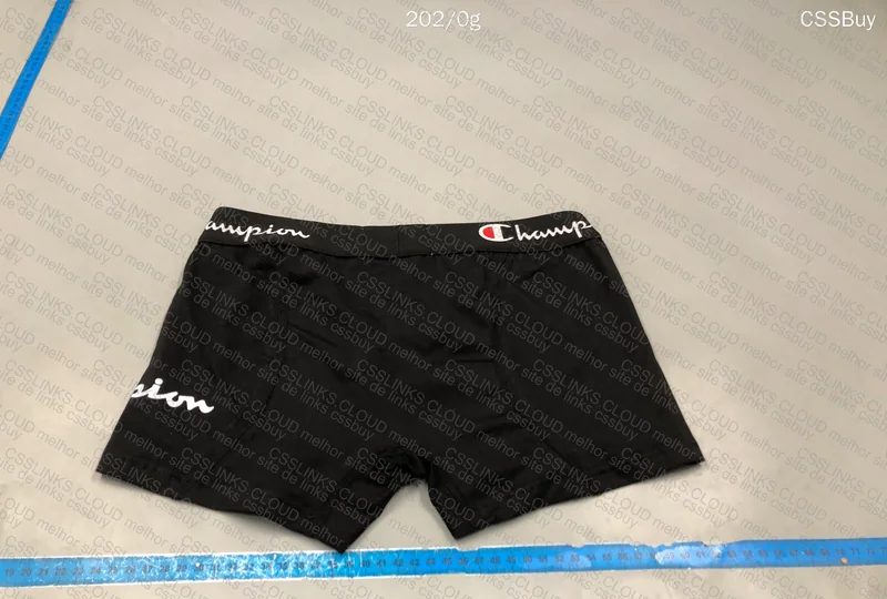 Champion Underwear 2