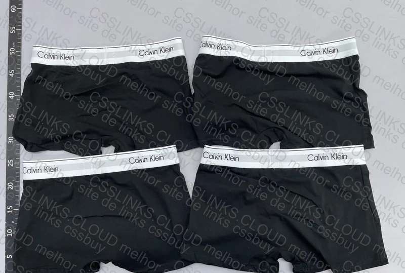 CK GL Underwear 3