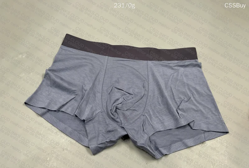 Insider Underwear 3
