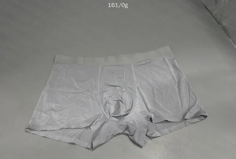 Insider Underwear 2