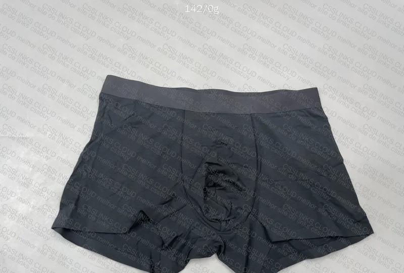 Insider Underwear 2