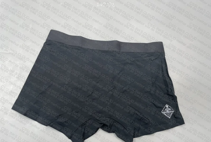 Insider Underwear 4