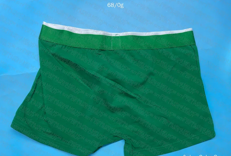 Lacoste GL or RL Underwear 6