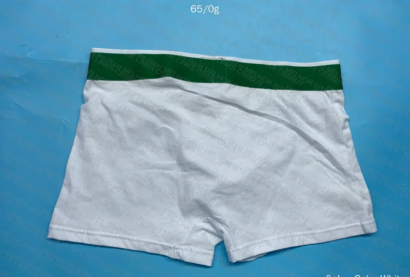 Lacoste GL or RL Underwear 7