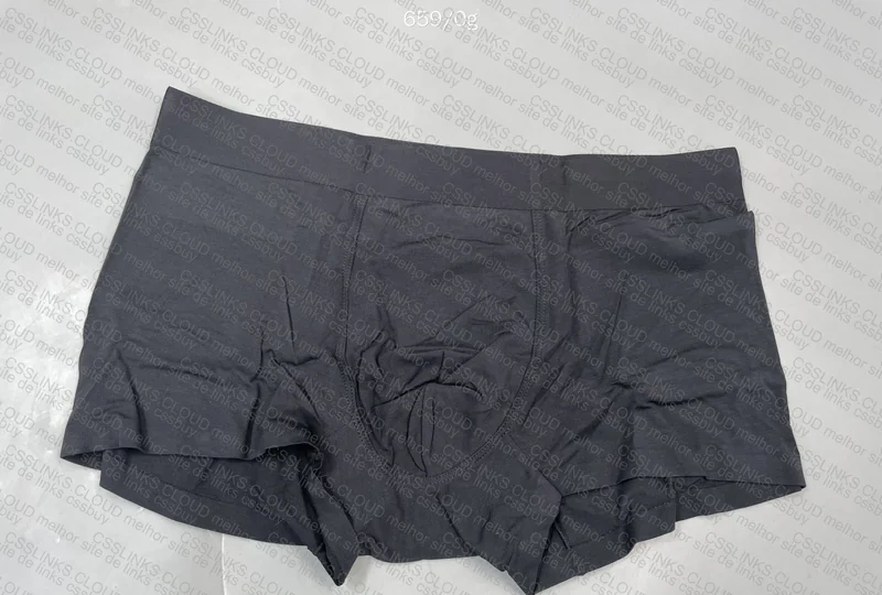 Modal and Spandex Insider Style Underwear 4