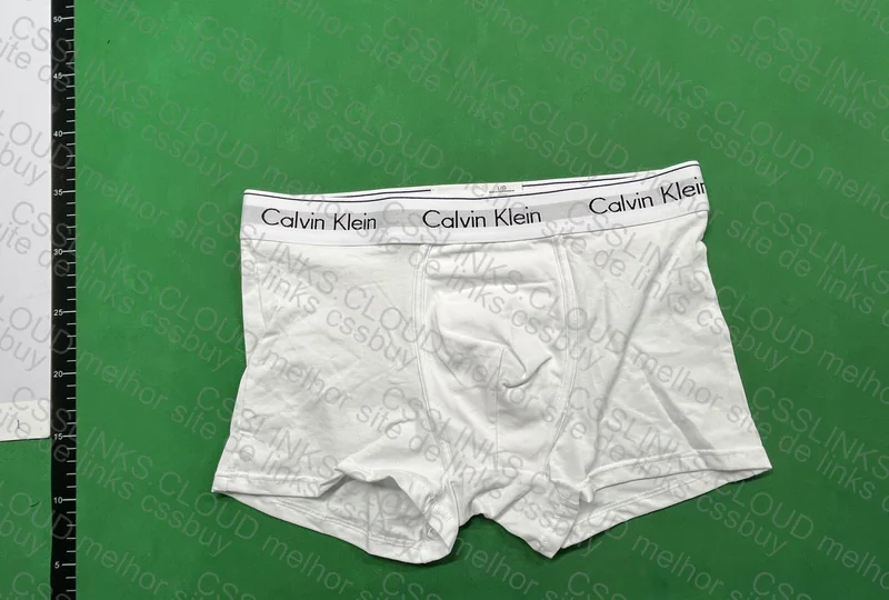 cuecas calvin klein 2