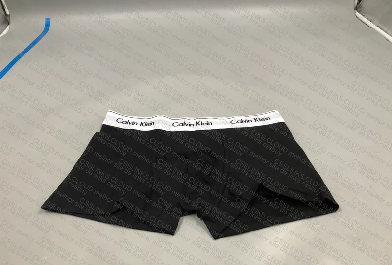 CK and Tommy Underwear 8
