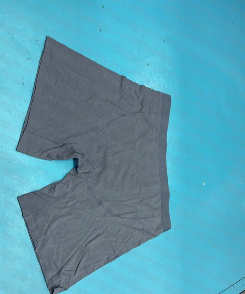 Modal Underwear 2