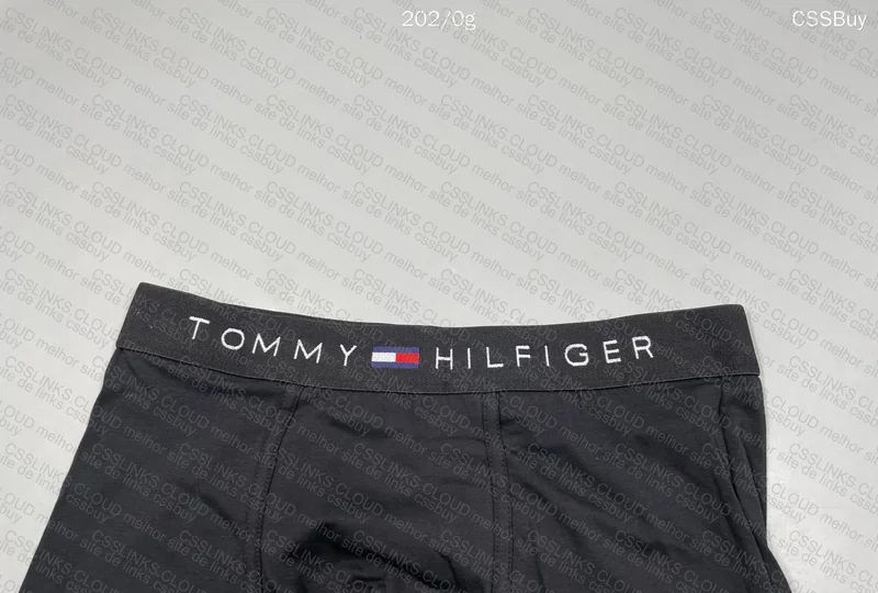 Tommy Underwear 2