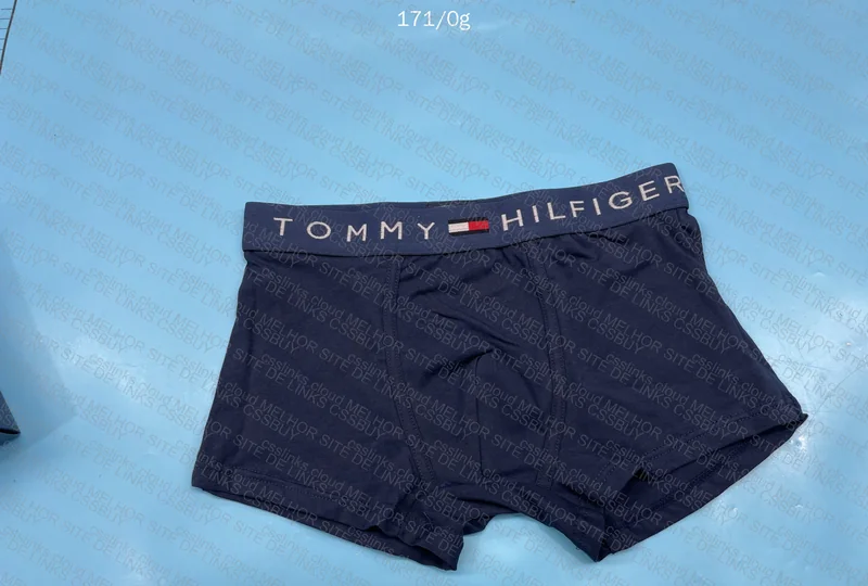 Tommy Underwear 2