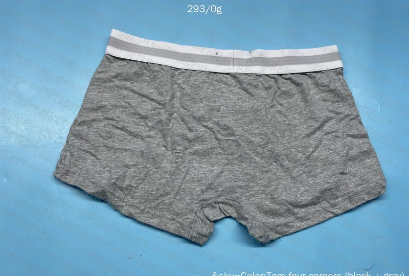 Tommy Underwear 2