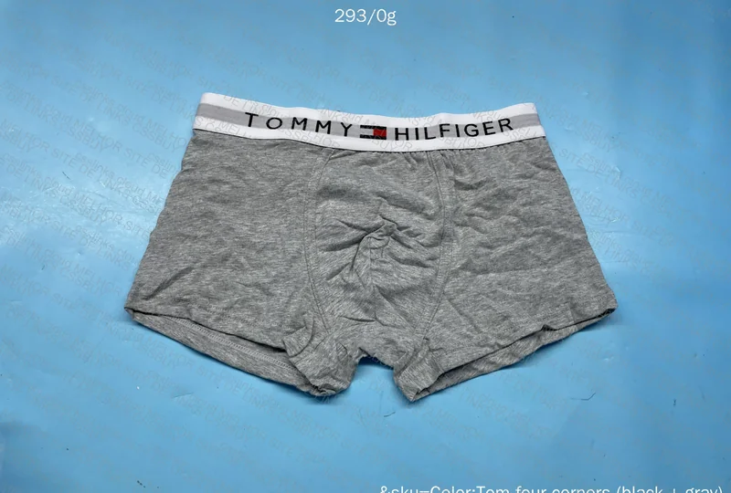 Tommy Underwear 3