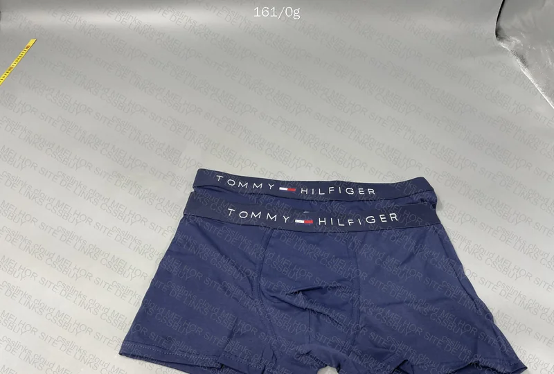 Tommy Hilfiger and Lala Underwear 3