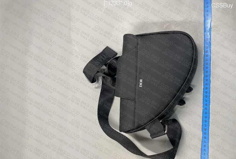 Dior And Shawn Saddle Bag 2