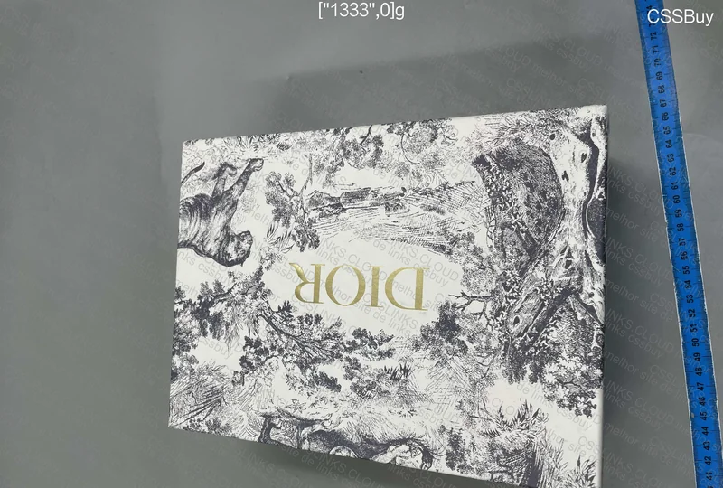 Dior And Shawn Saddle Bag 6