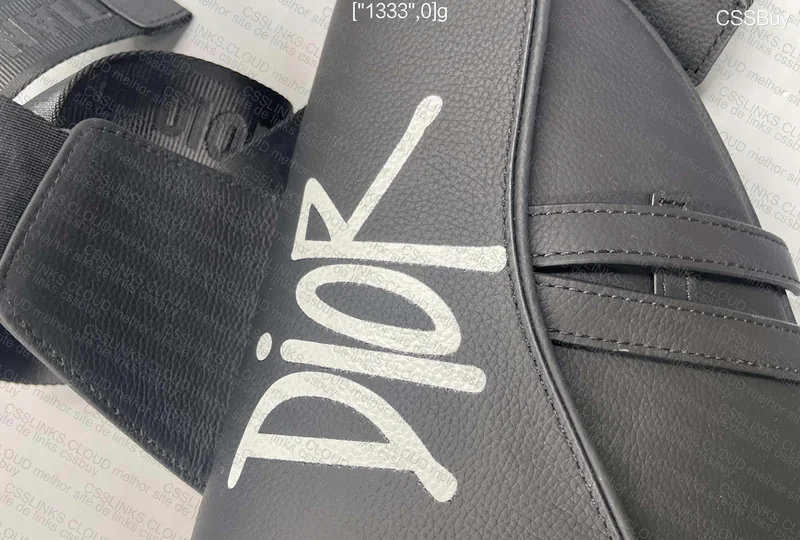 Dior And Shawn Saddle Bag 7