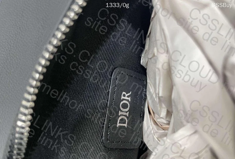 Dior And Shawn Saddle Bag 9