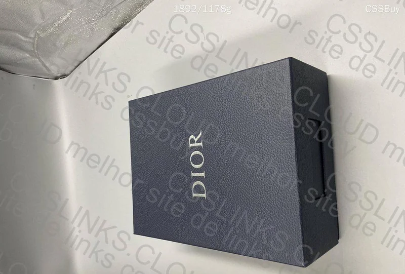 Dior b22 black