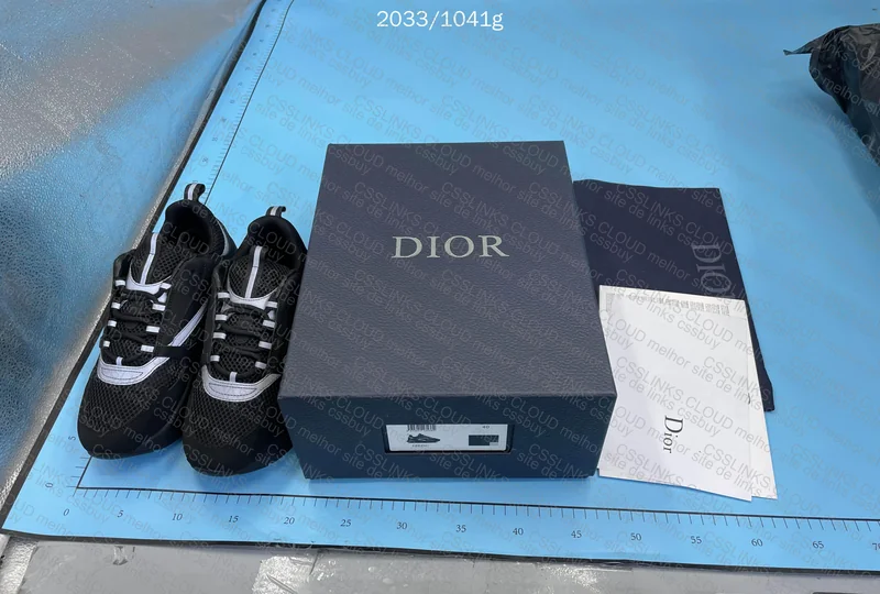 Dior B22 🥷 GL or RL?