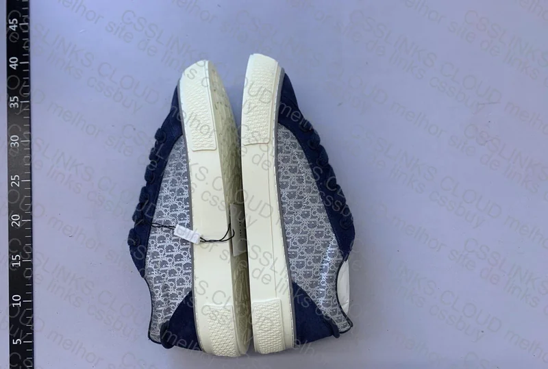 Dior B33 (De playboy) 6