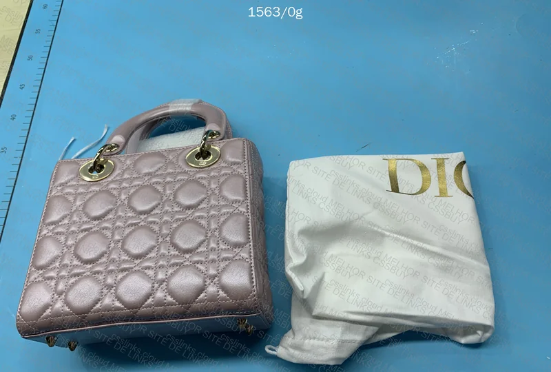 Dior bag (Scarlett) 2