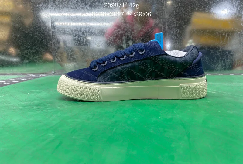 DIOR x Denim Tears B33 2