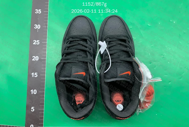 Dunk Black Pigeon