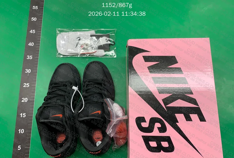 Dunk Black Pigeon 3