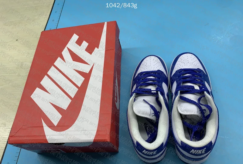 Dunk Blind box 6
