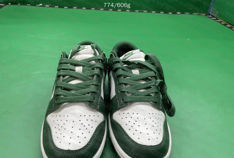 dunk blind (pra gata) 2