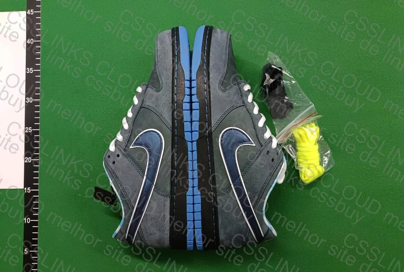 Dunk Blue lobster 2