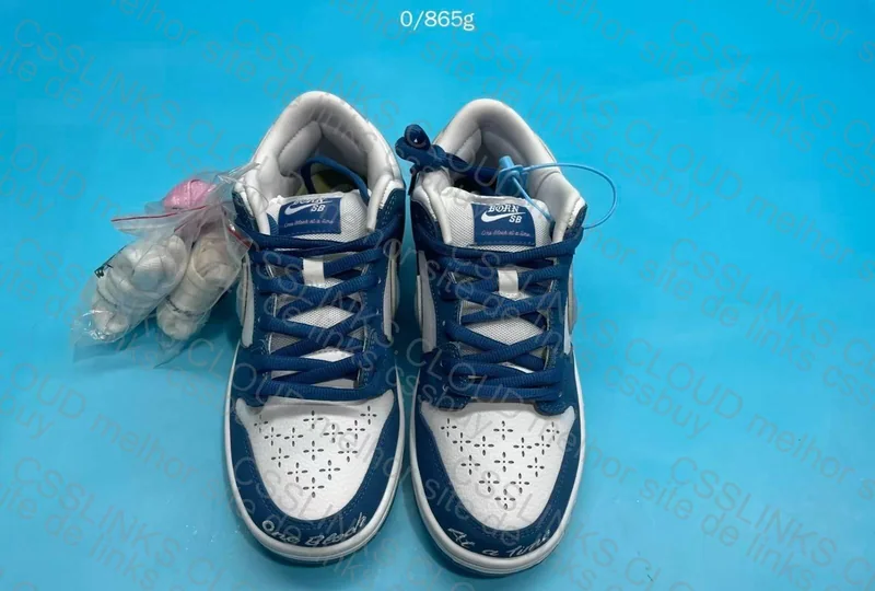 Dunk Born Raised 2